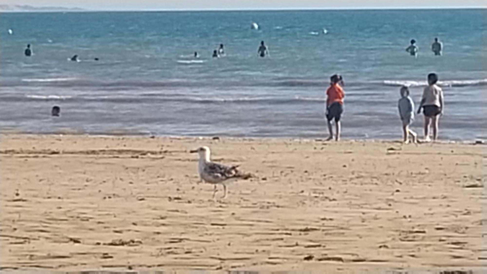 Essaouira Beach Design Apartment מראה חיצוני תמונה
